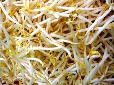 Bean_sprouts