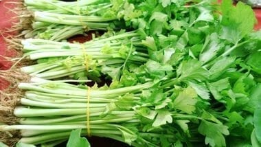 Chinese vegetables: chinese celery, by thewoksoflife.com 