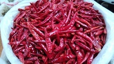 dried chilis