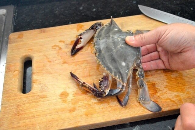 how to hold a crab 