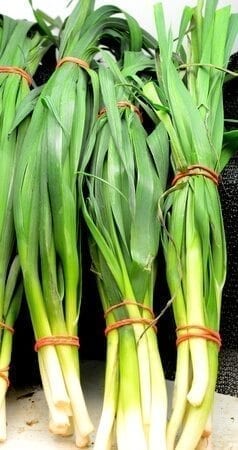 Garlic-greens