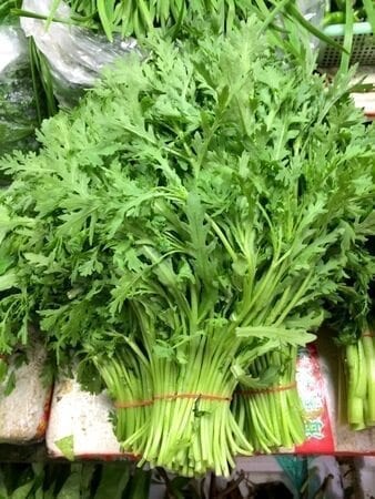 Chinese Vegetables: tong ho - medium leaf, by thewoksoflife.com