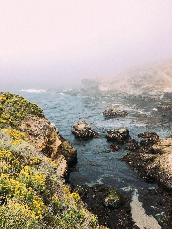 Point Lobos, by thewoksoflife.com