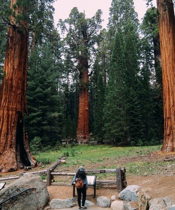 Sequoia National Park General Sherman