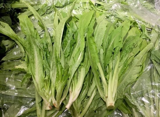 1-OZ A-Choy AA Cai seeds Taiwanese Sword Leaf Lettuce; 萵苣菜 AA菜 油麥菜 USA