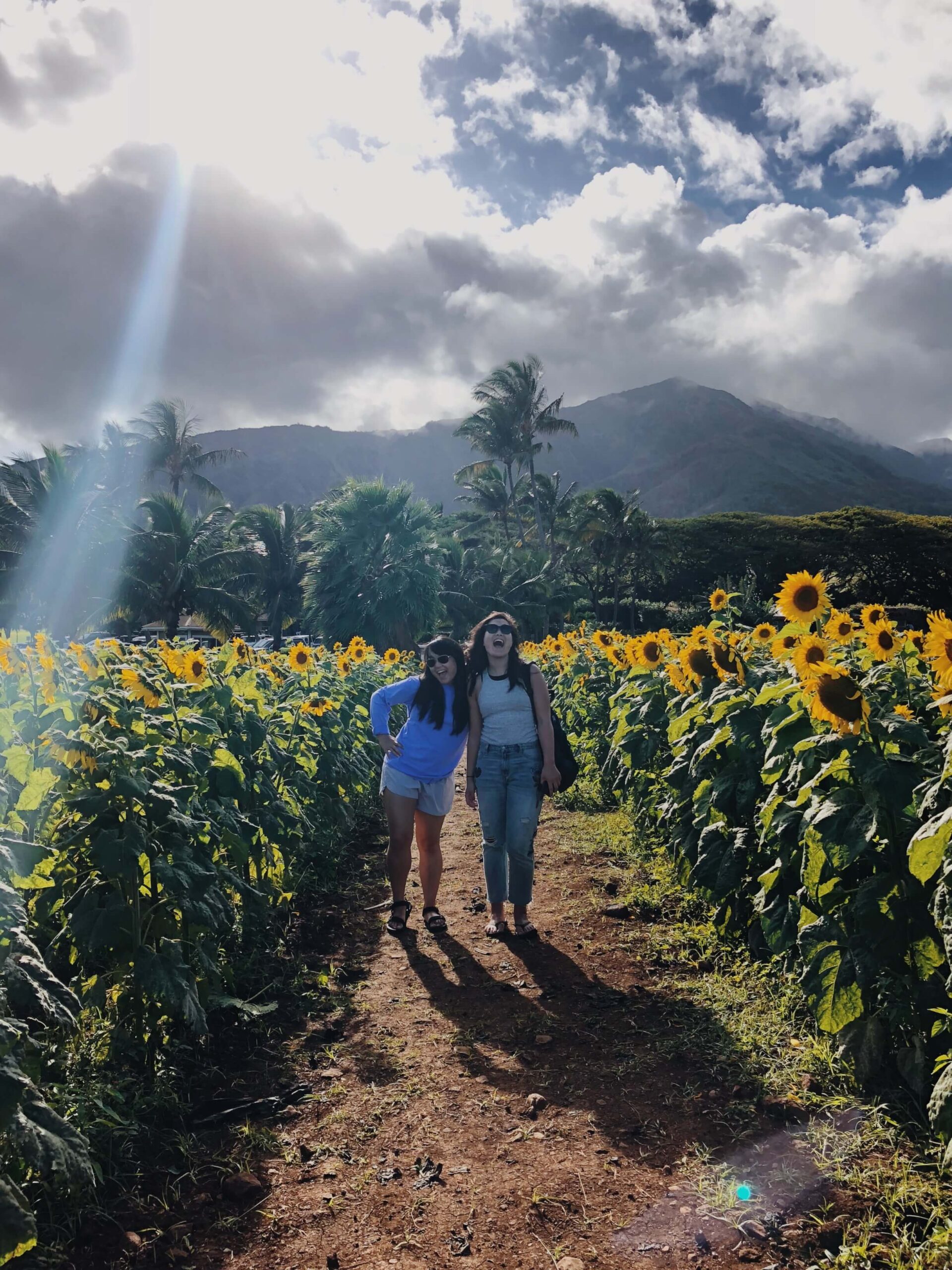 Kaitlin and Sarah in field of sunflowers in Maui