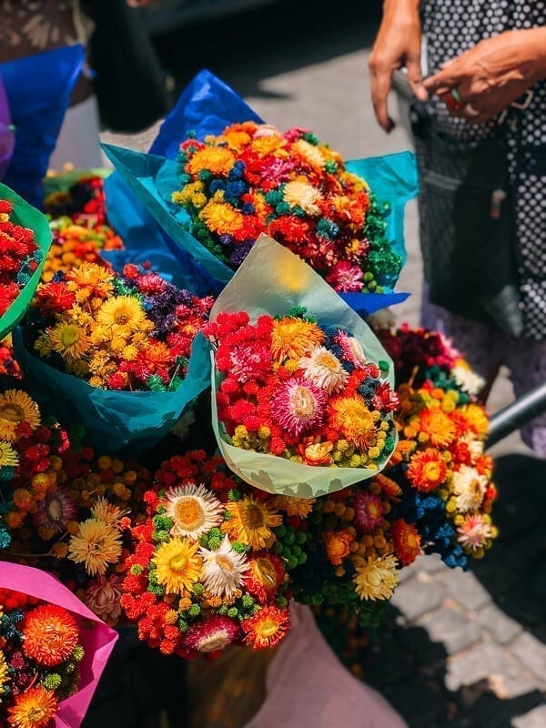 Mexico City Flowers