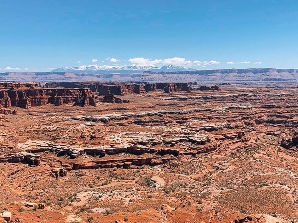 Canyon view from White rim trail in Canyonlands by thewoksoflife.com
