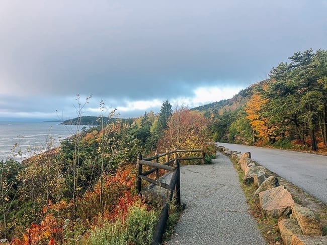 Ocean Path in Acadia National Park