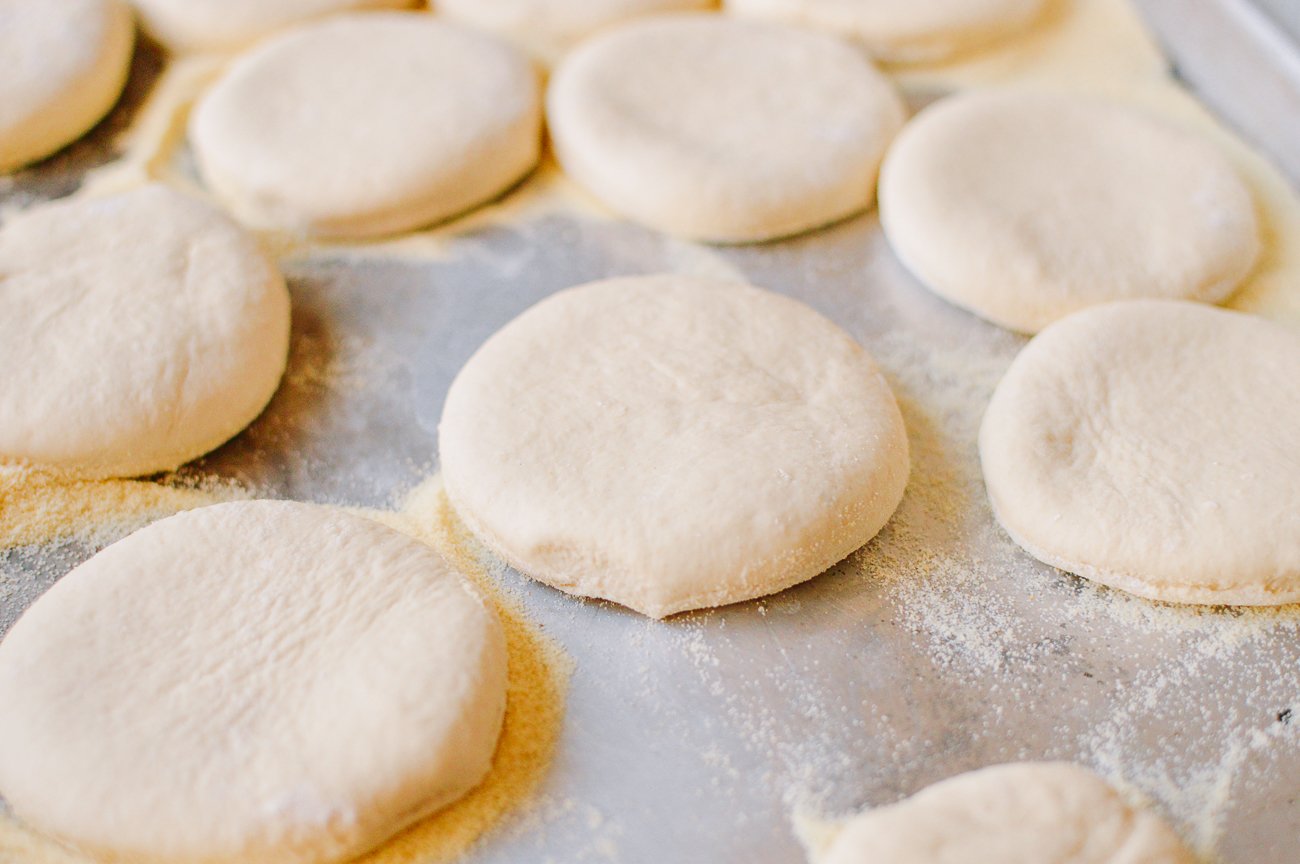 Rolled dough cut into circles to make english muffins