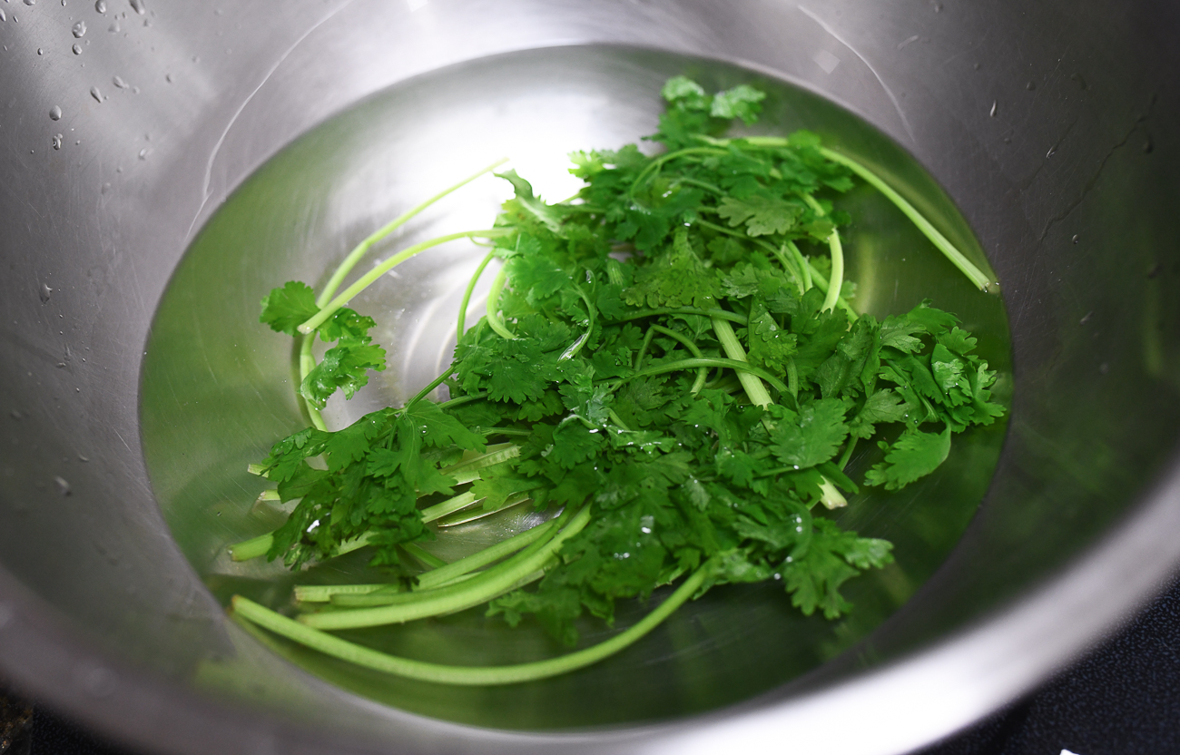 Shocking blanched cilantro in bowl of cold water