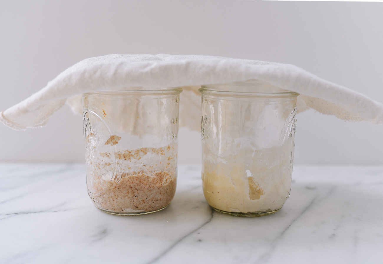 Starter jars covered with a cloth