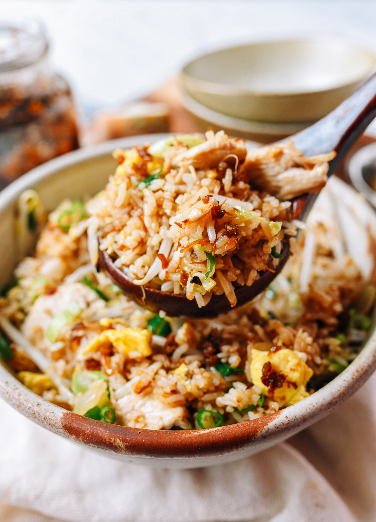 A spoonful of XO Sauce Chicken Fried Rice