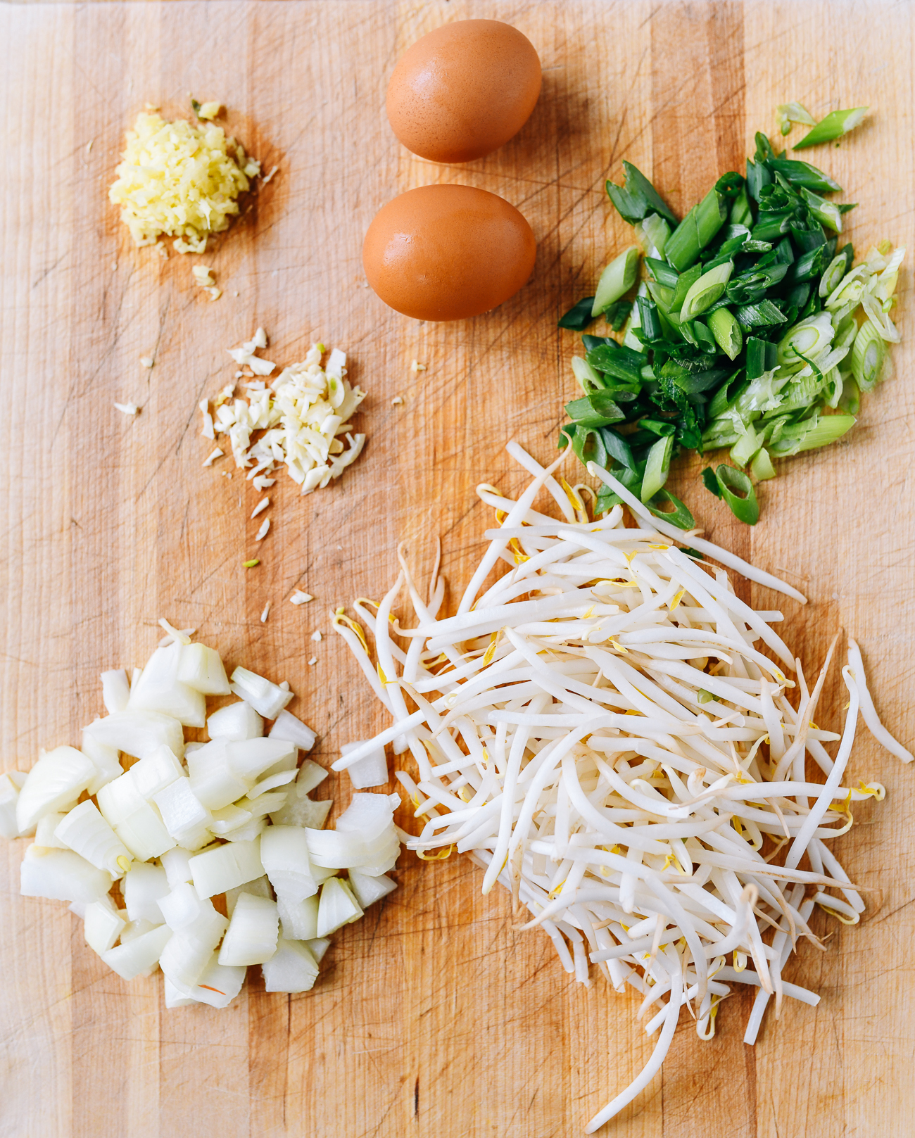 Ginger, garlic, eggs, scalions, mung bean sprouts, and onions