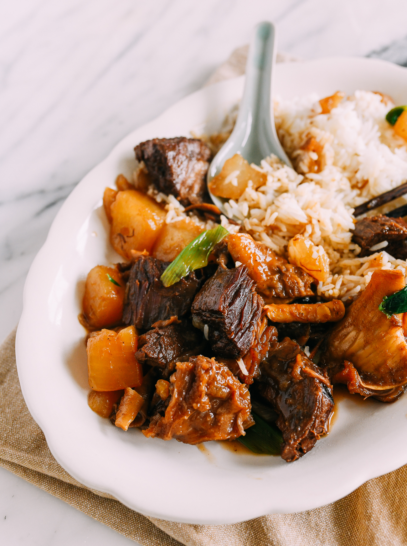 Cantonese Braised Beef with Daikon over Rice