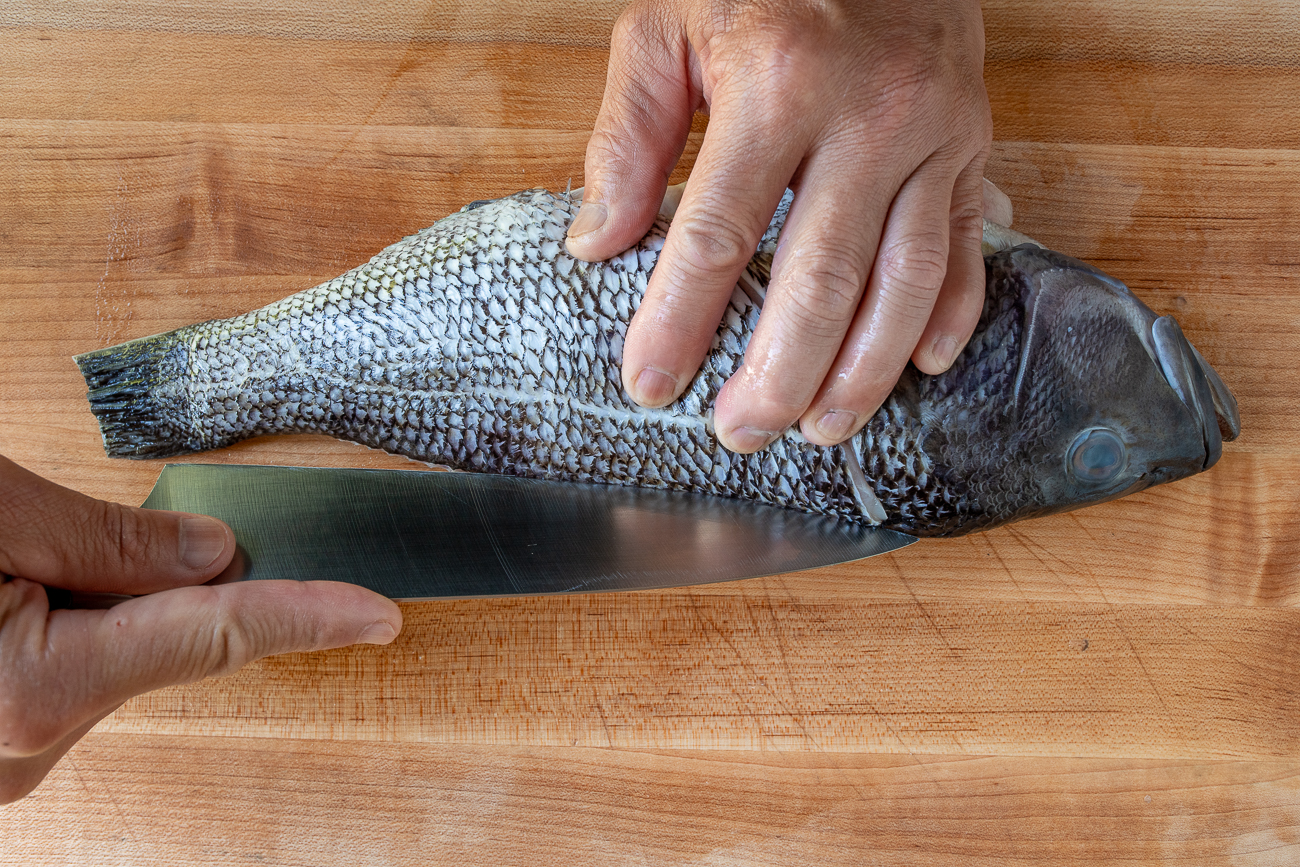 slicing fish at the backbone to fillet sea bass