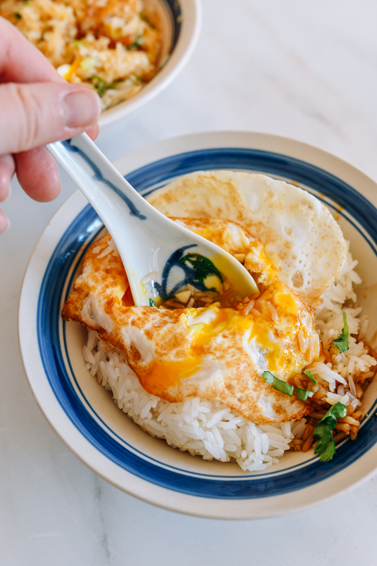Chinese Mixed Rice Ban Fan with Egg