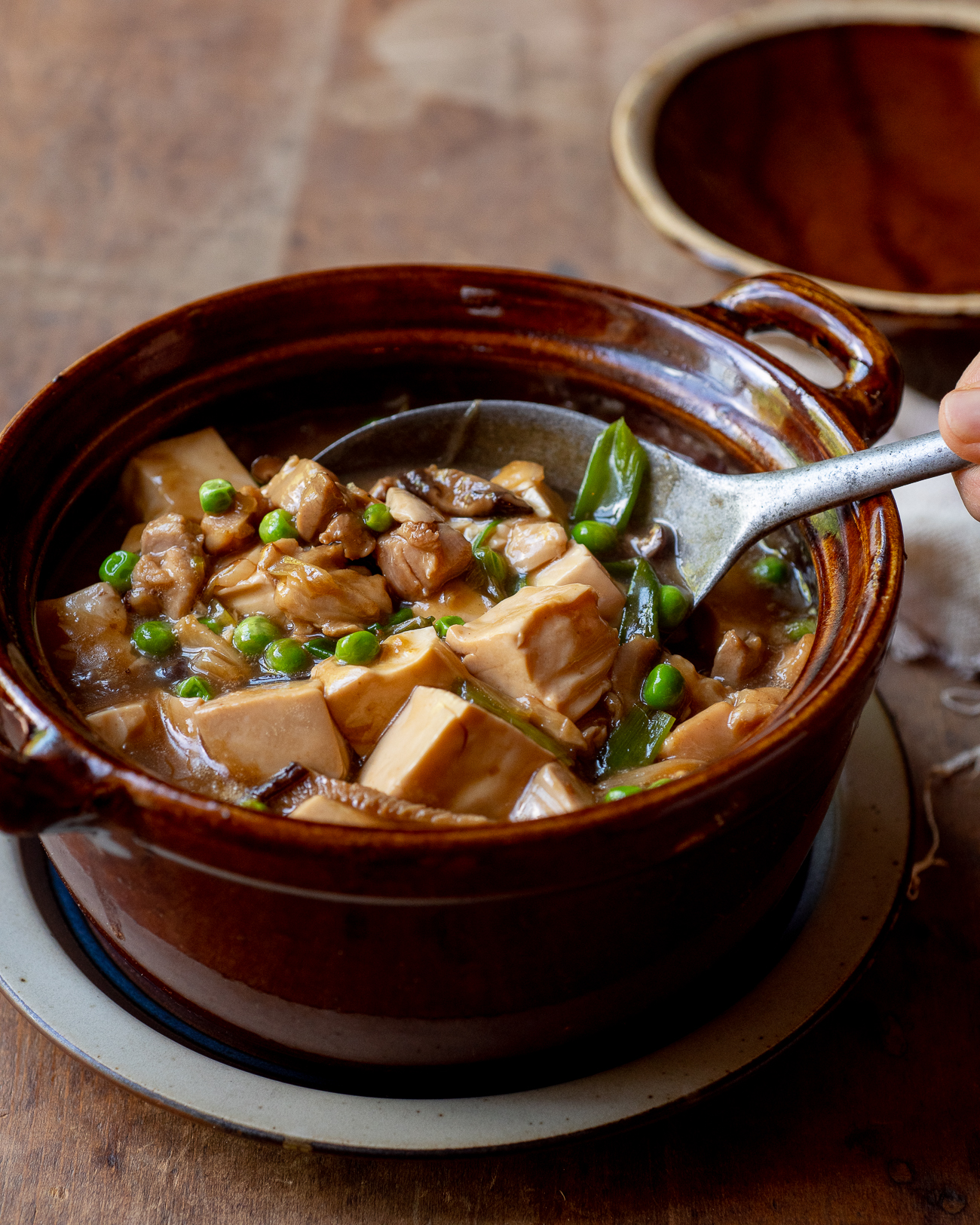 Tofu Casserole with Chicken Chinese Recipe