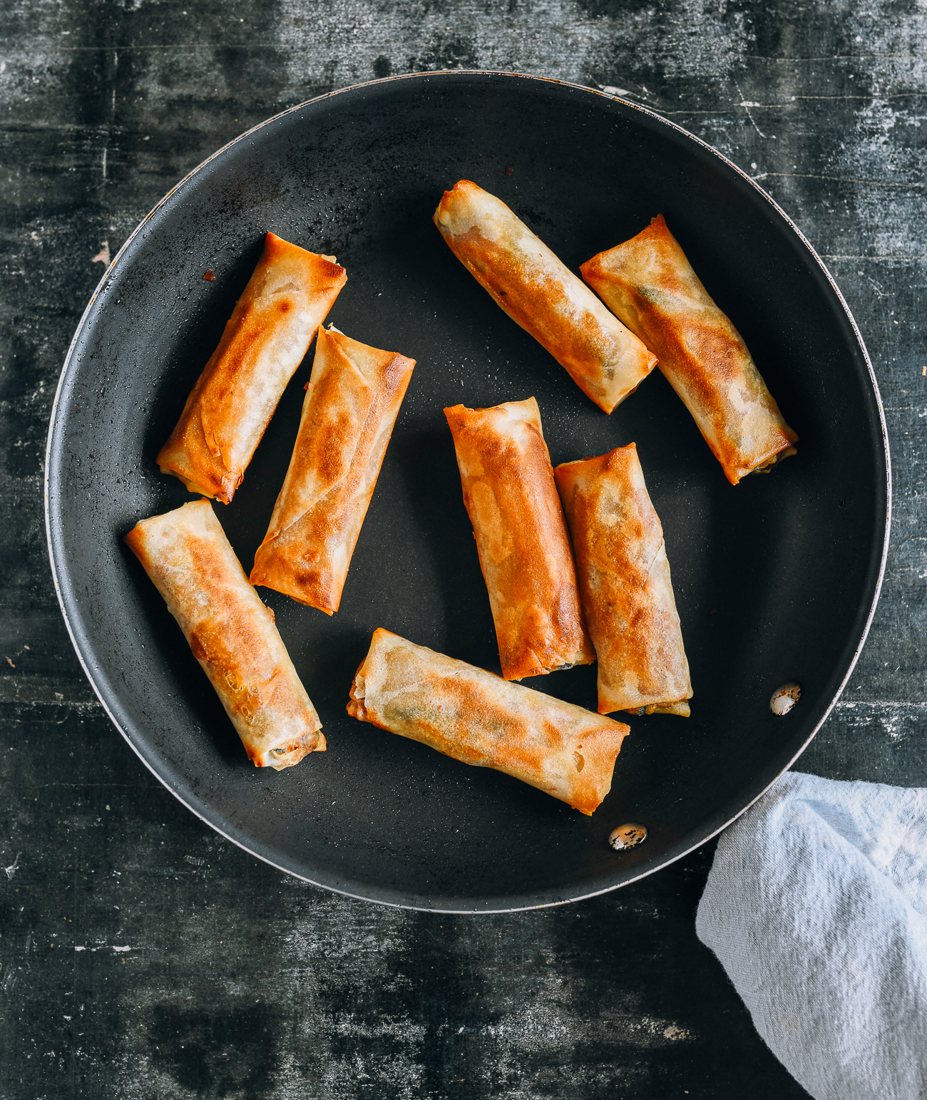 pan-fried spring rolls