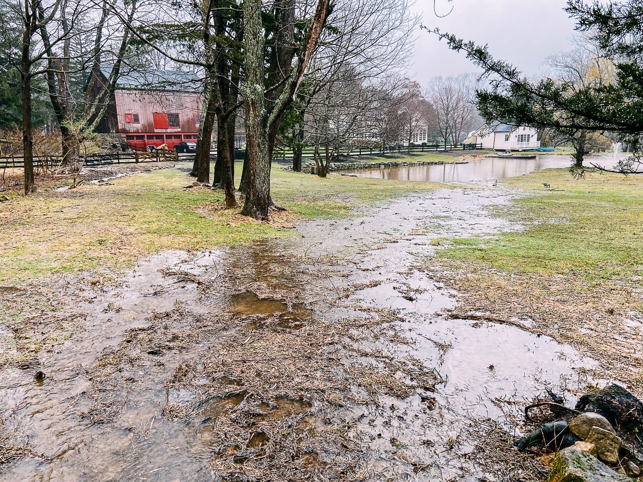 flooded area on lawn