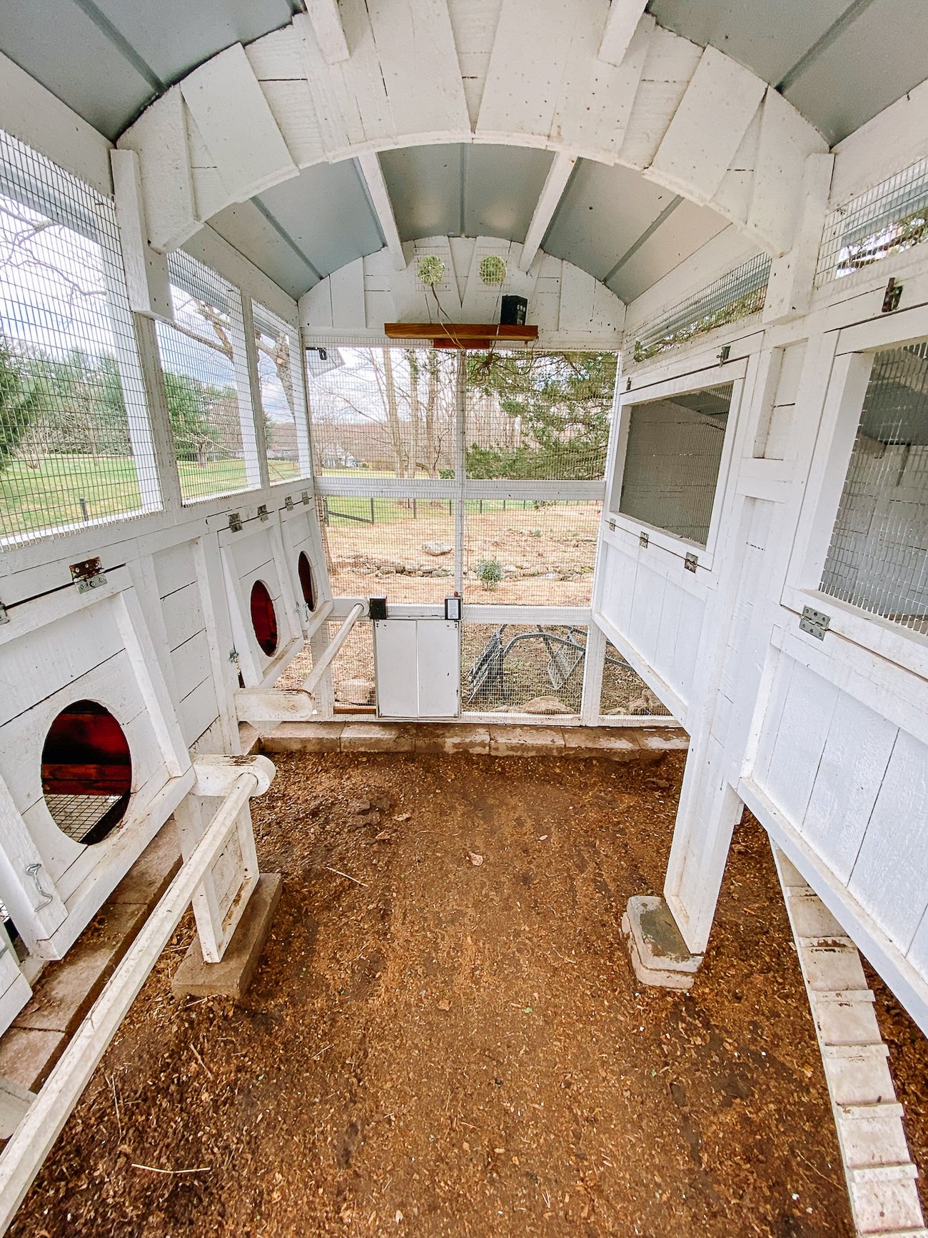 cleaned chicken coop