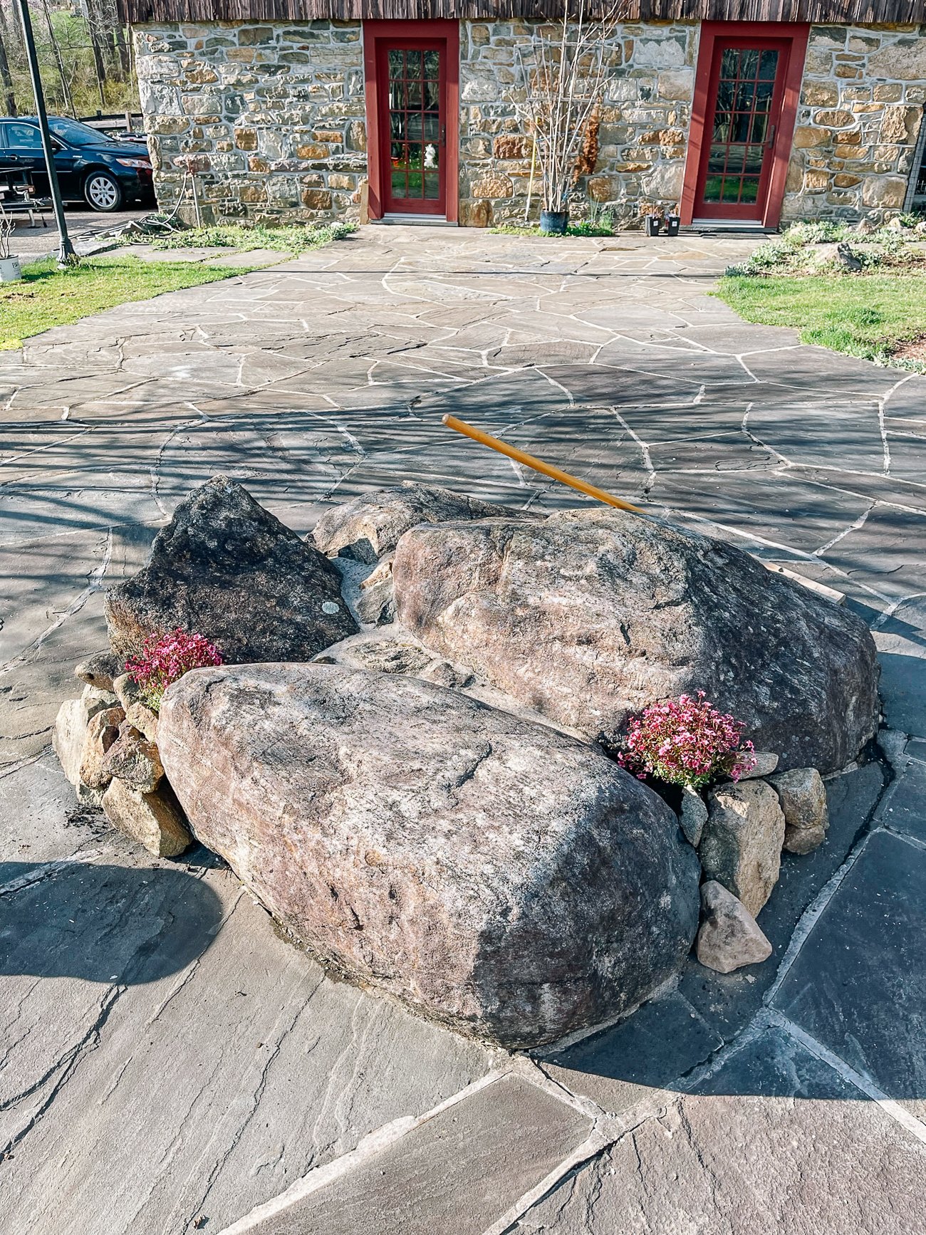 pink rockfoil in rock garden area