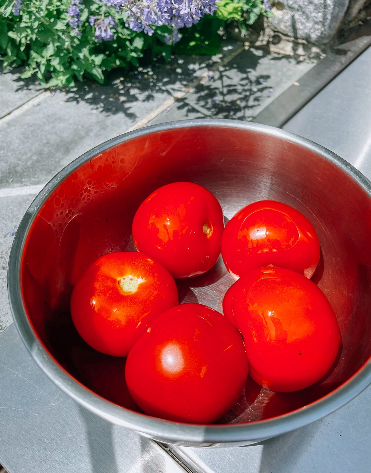 Oiled tomatoes in metal bowl