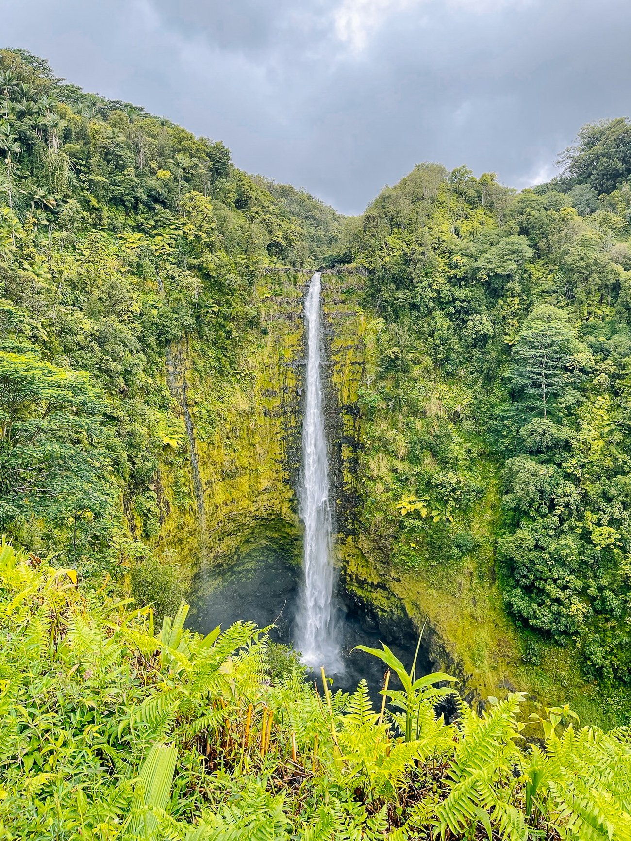 Akaka falls hawaii