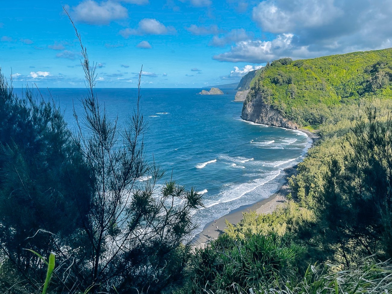 View of Pololu Valley and ocean from trail