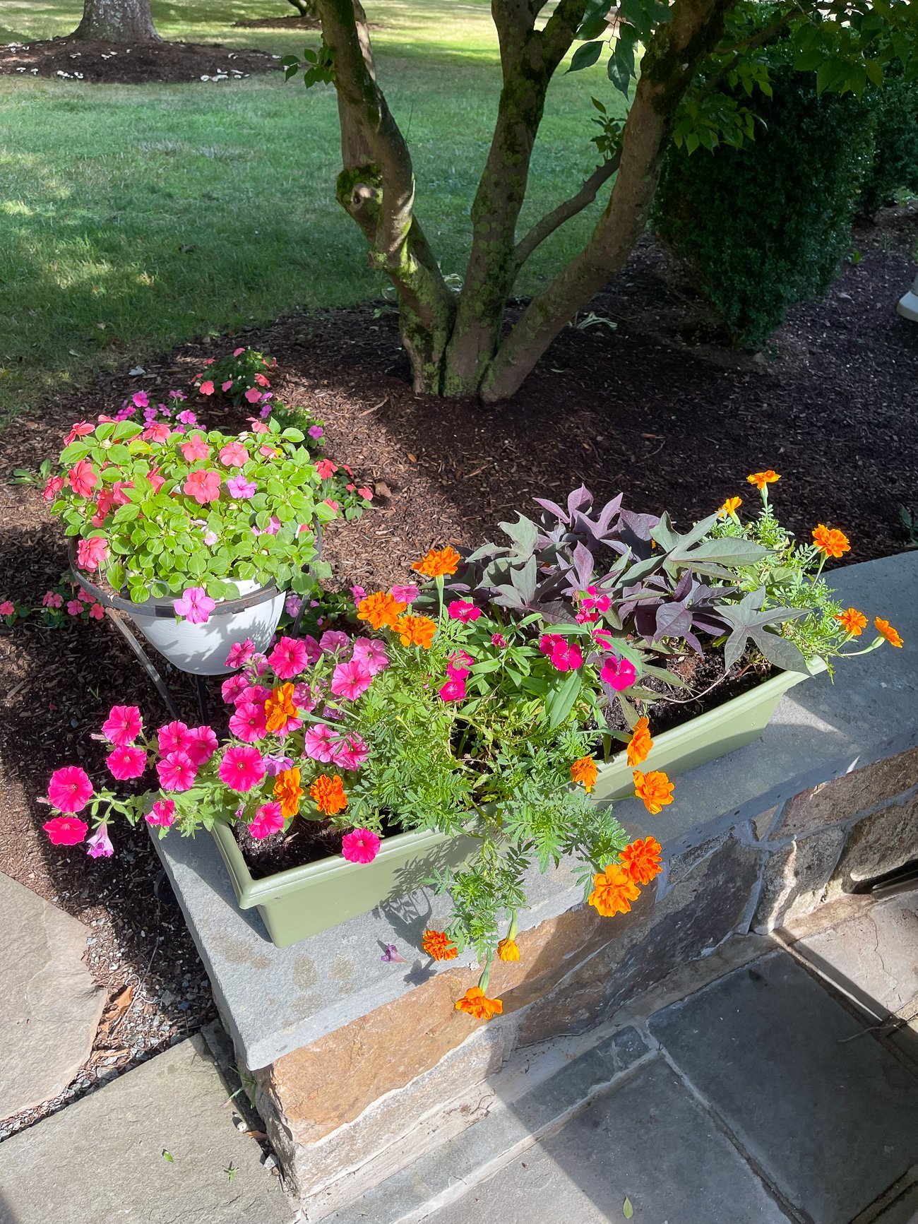 Flower box with petunias and marigolds