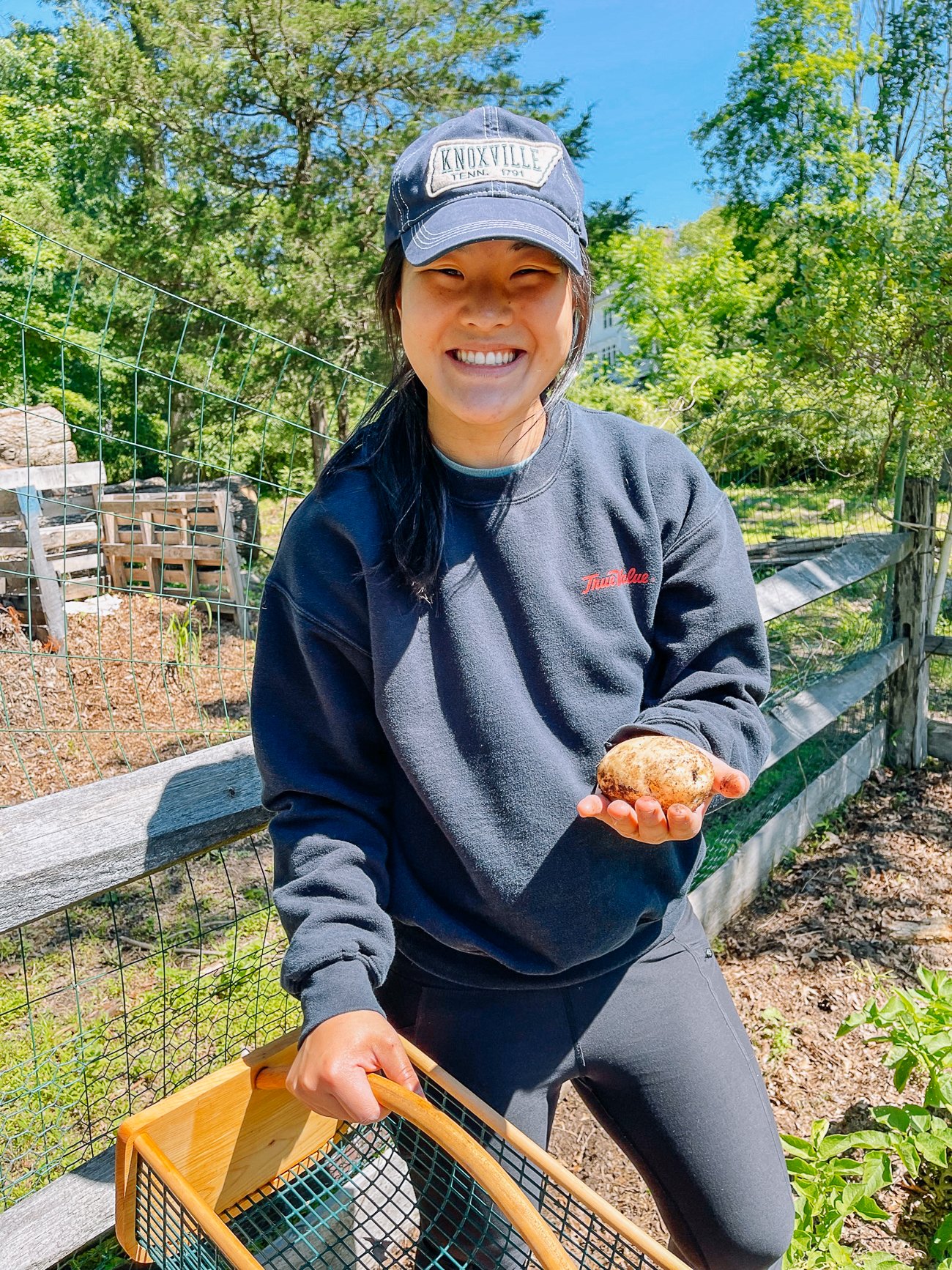 Sarah holding harvested potatoes