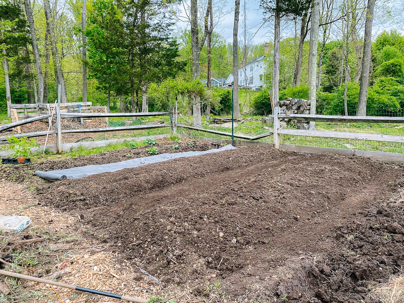 Cleaned raised beds
