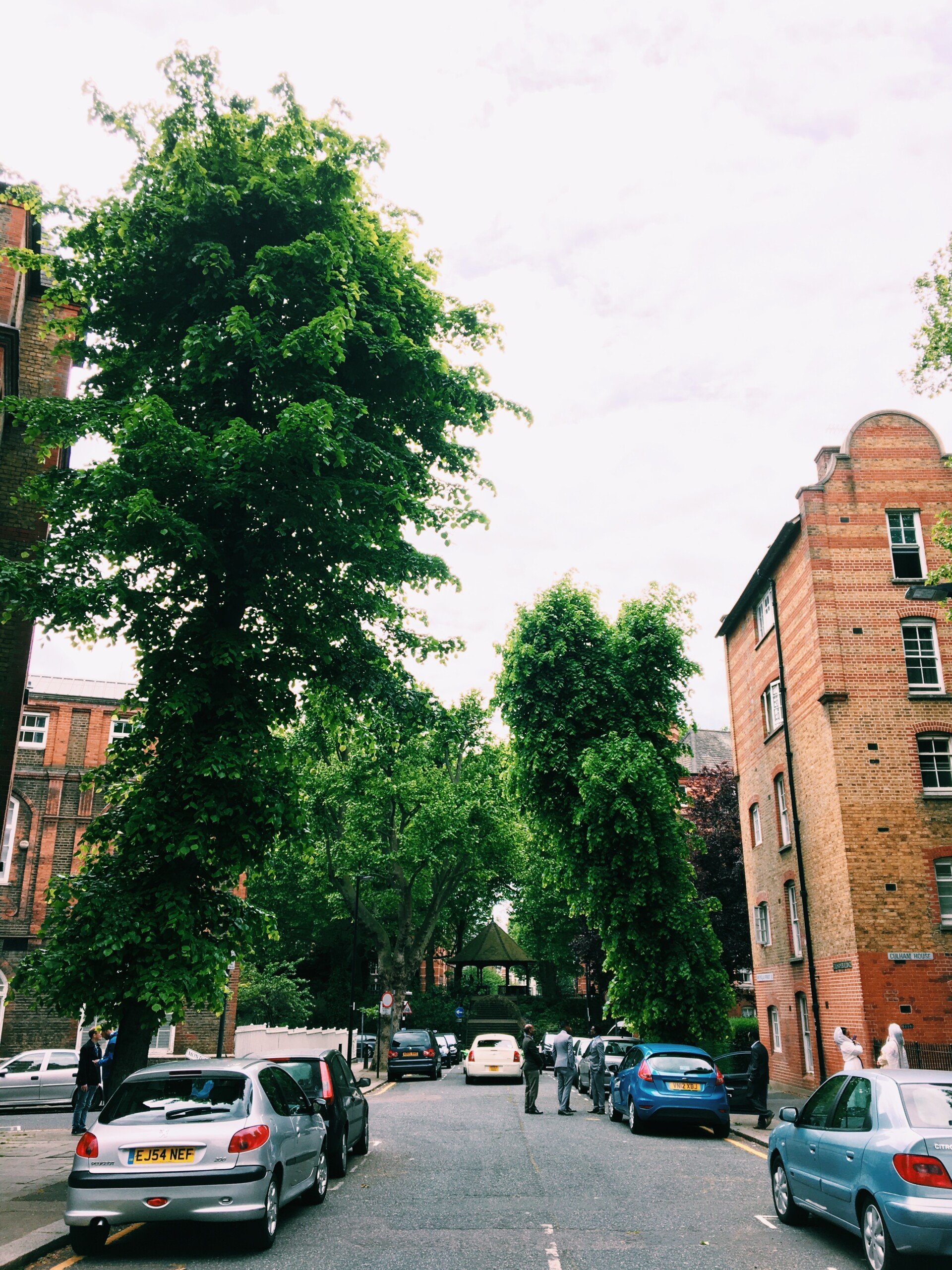 Tree-lined London street
