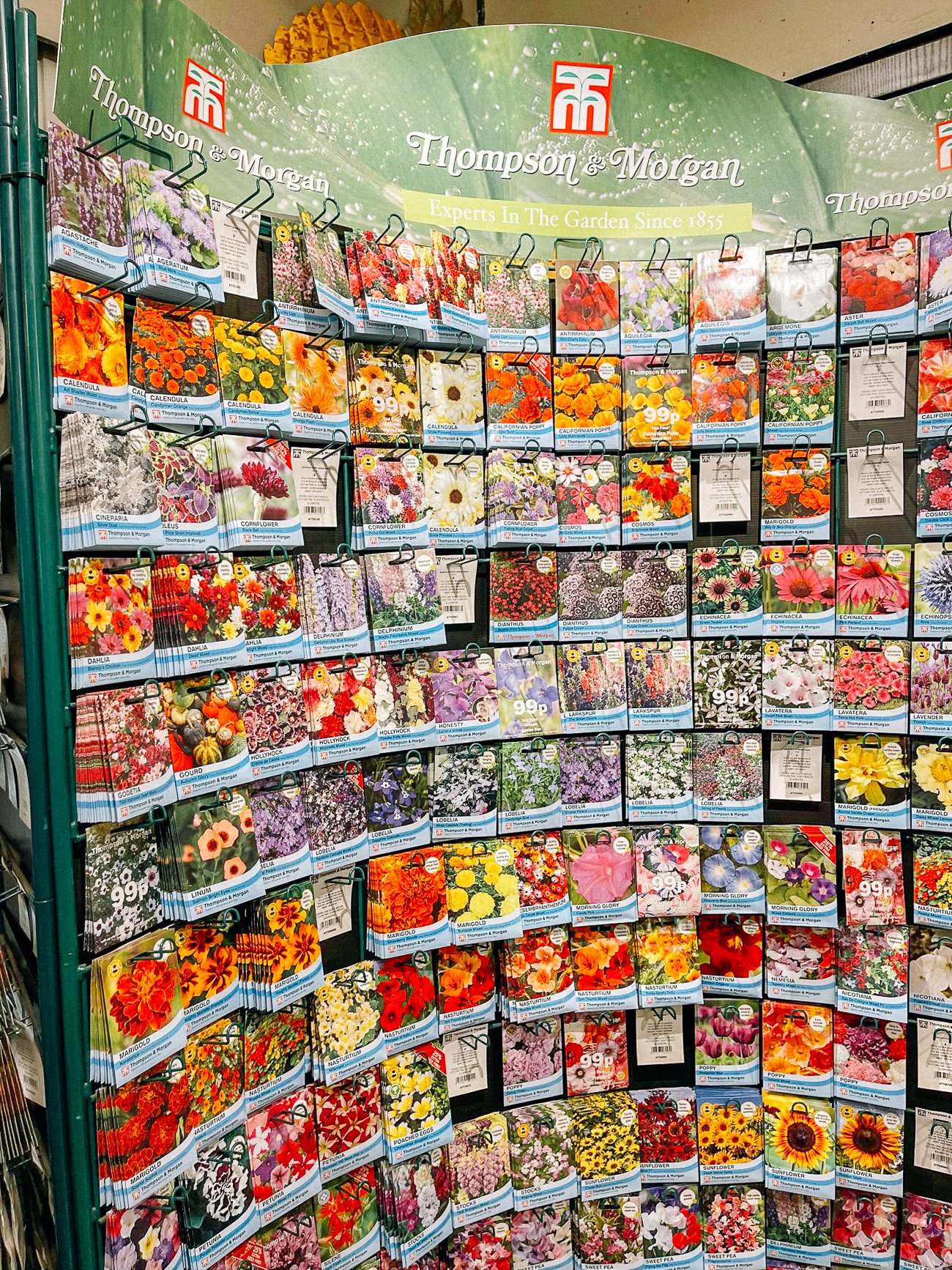 wall of flower seed packets