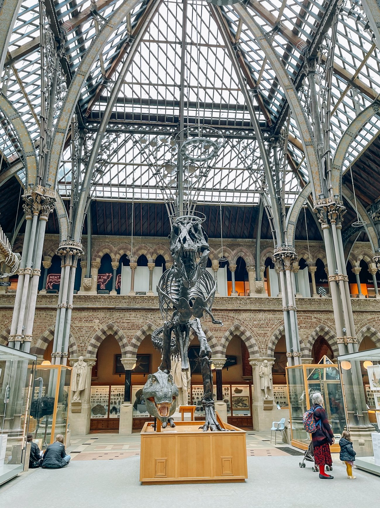 T.Rex skeleton at the Oxford Museum of Natural History