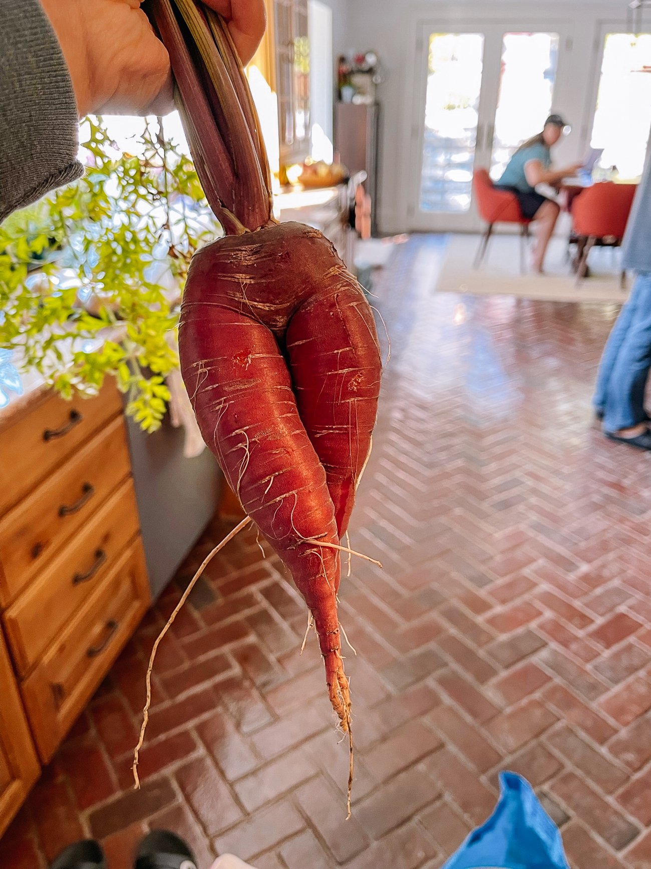 carrot that looks like legs