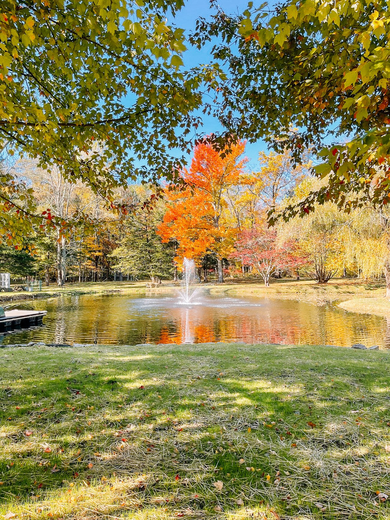 Pond view in fall