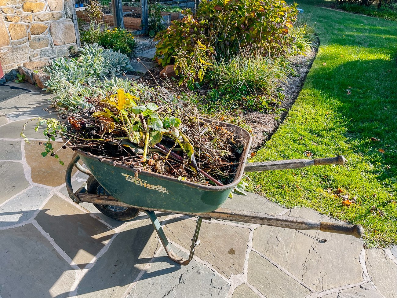 wheelbarrow garden clippings