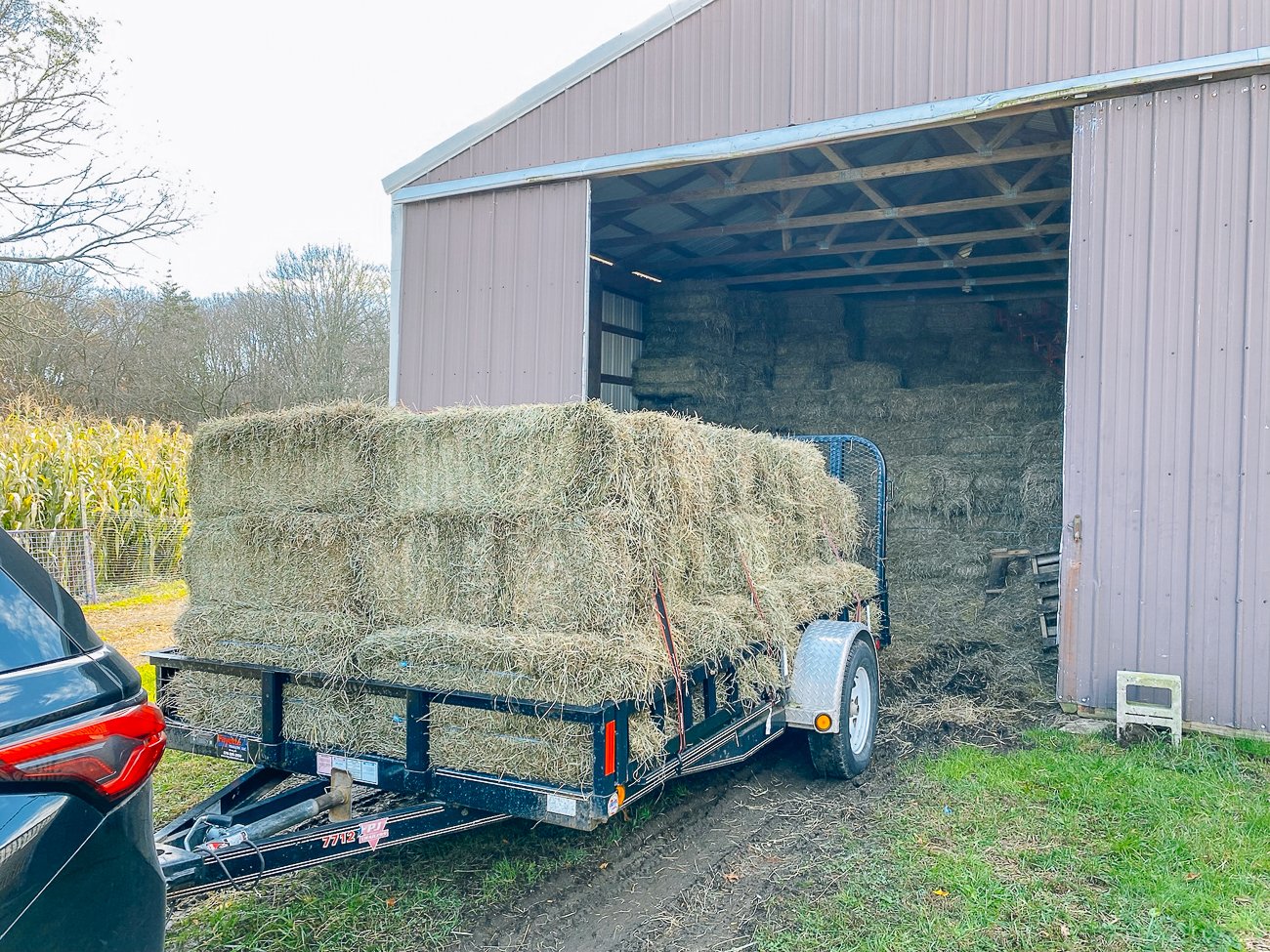Trailer load of hay