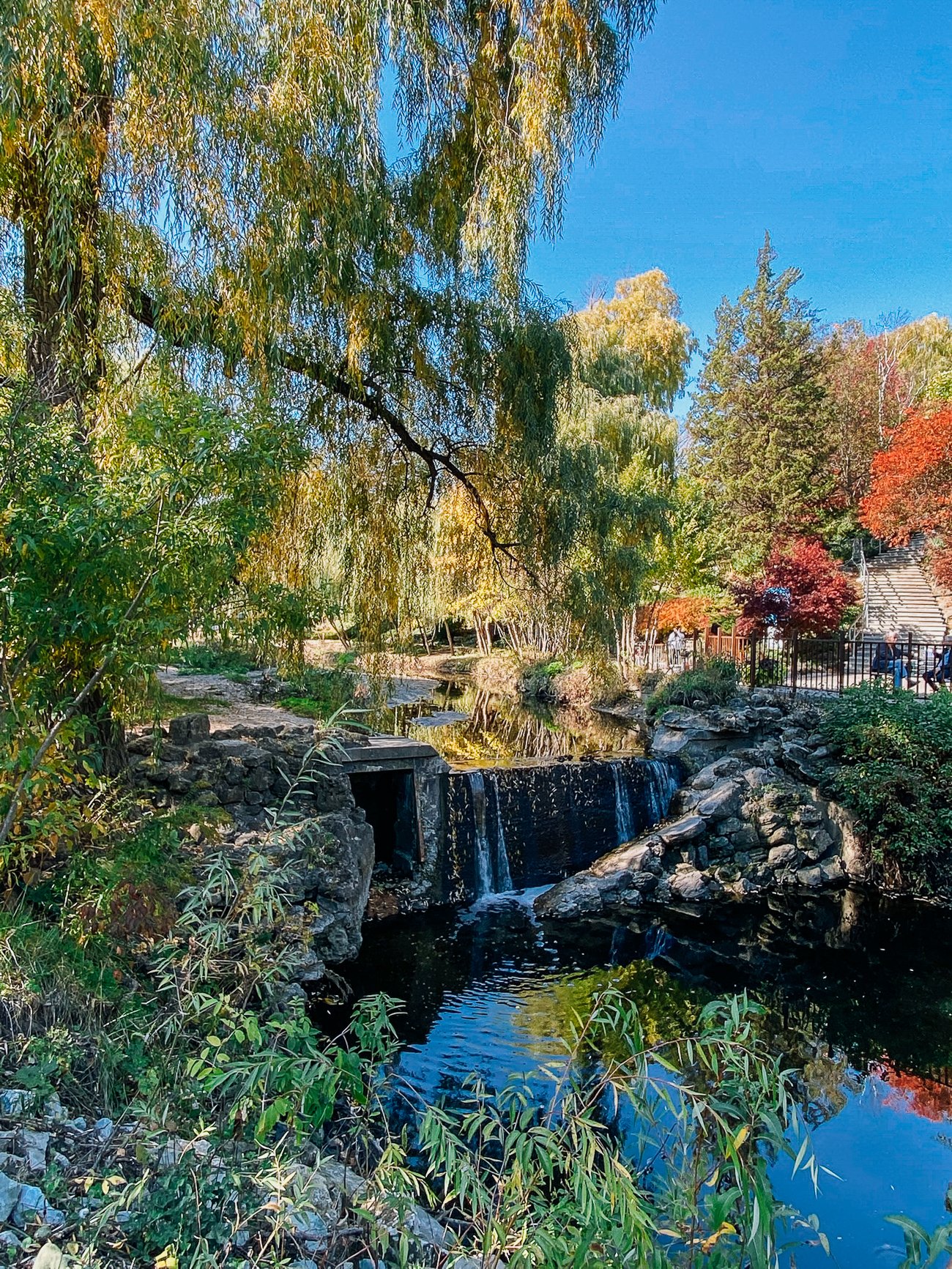 Toronto Botanical Garden Waterfall