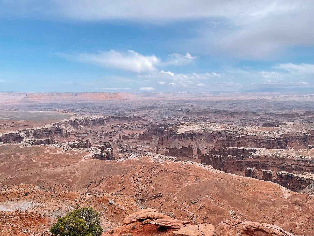 grand view point view in Canyonlands