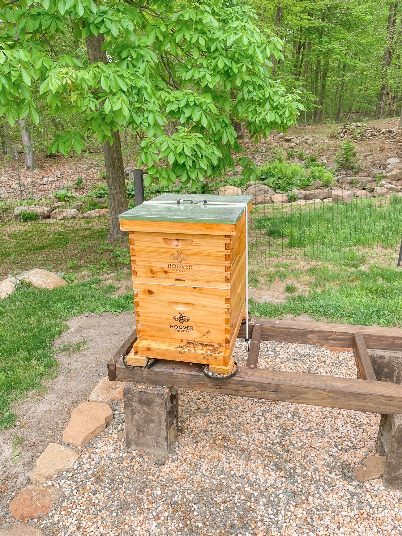 Hoover Hive