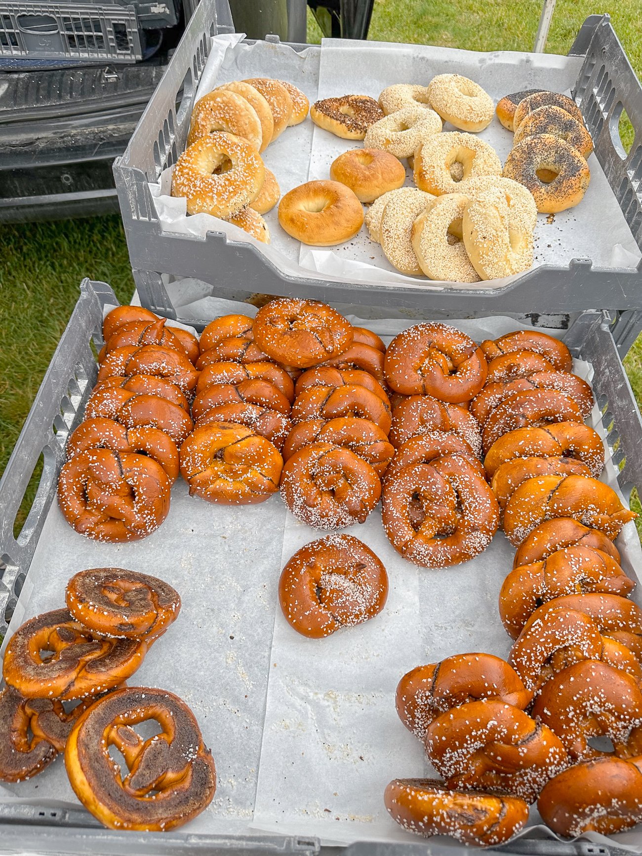 Soft salted pretzels and seedy bagels at the Boothbay Harbor farmer's market