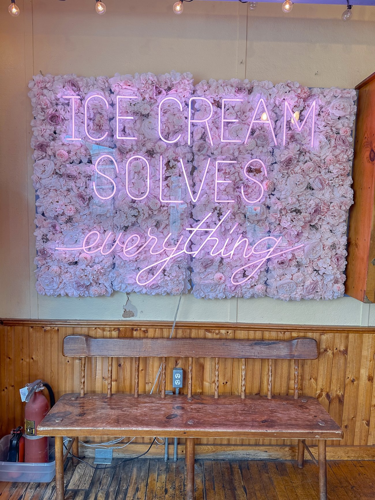 A neon sign that says "Ice Cream Solves everything" against flowers