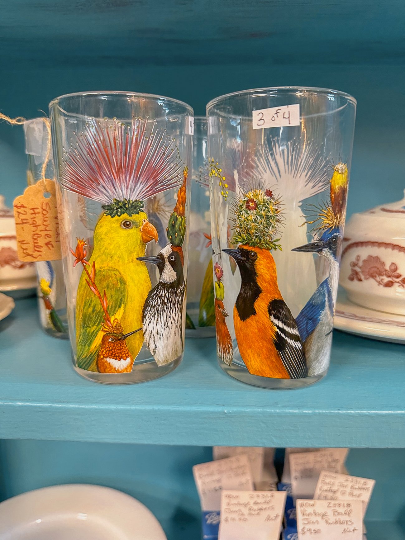 Vicki Sawyer glasses with exotic birds printed on them