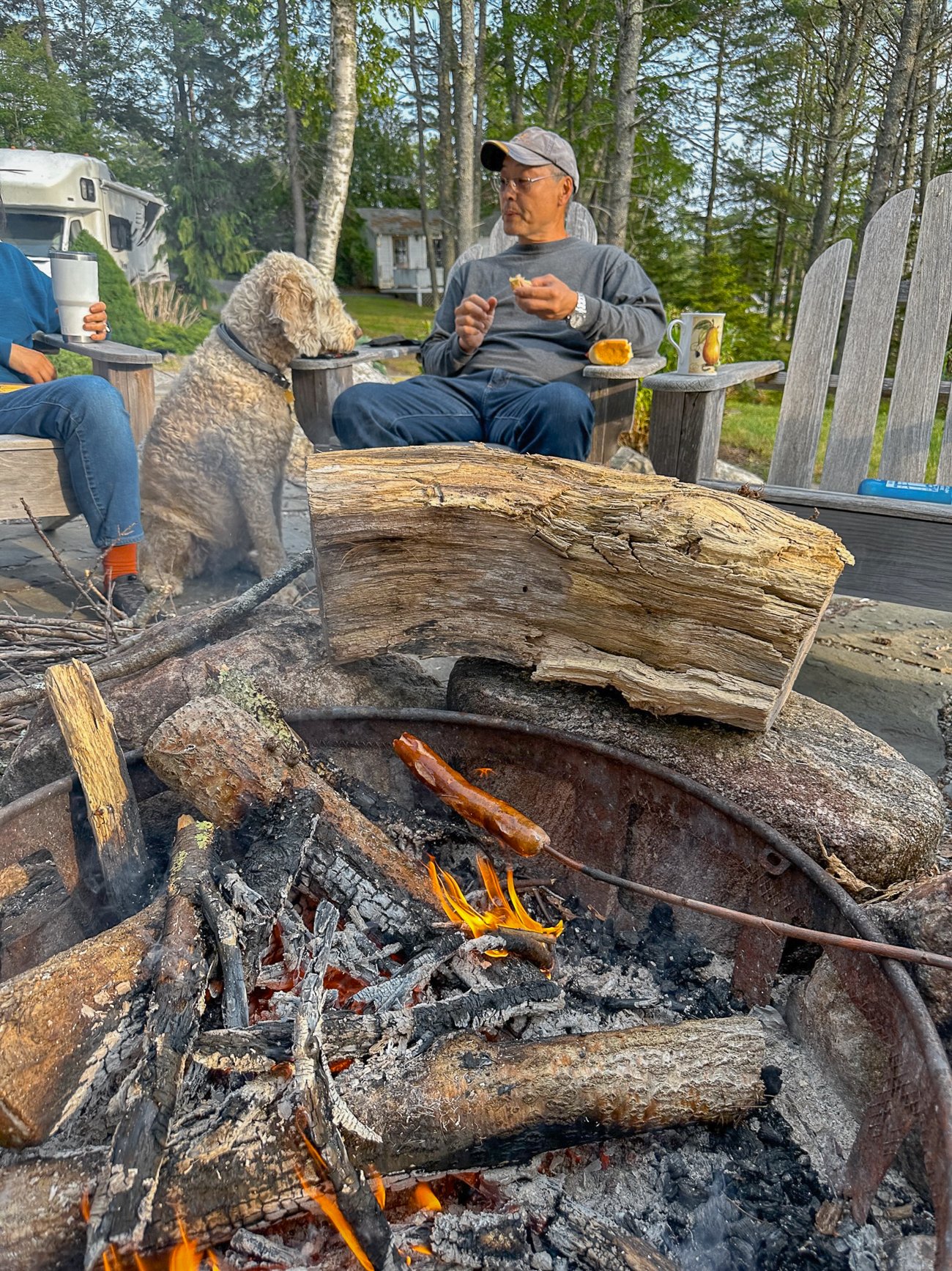 A hotdog over the fire with dog waiting for a treat