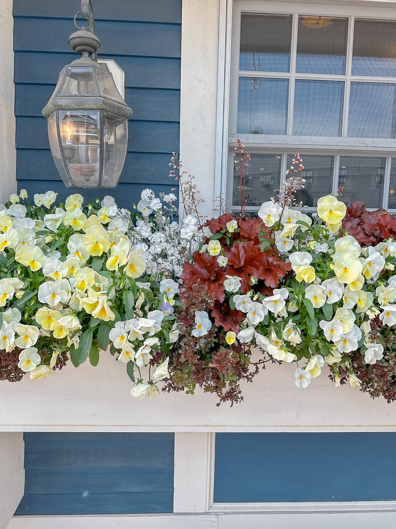 Flower box of yellow and white flowers on a blue sided building with a lamp