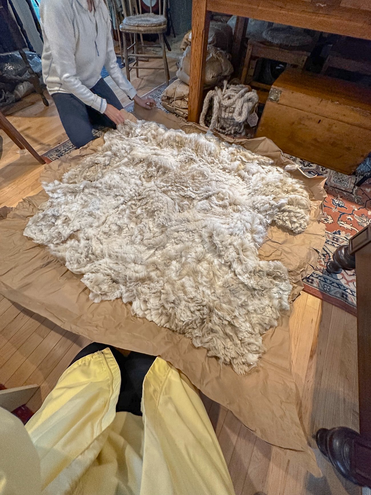alpaca fiber laid out on table
