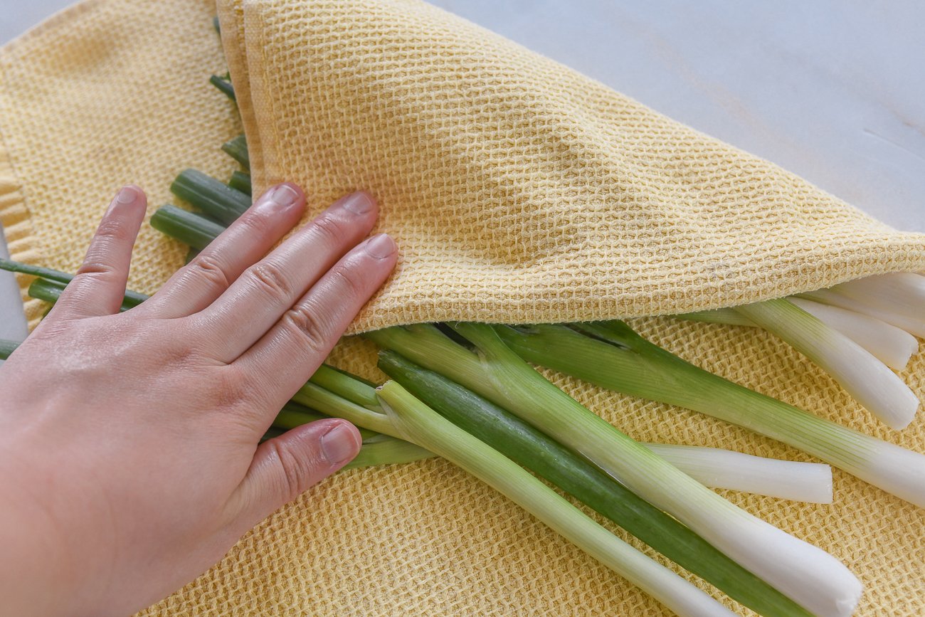 drying scallions with kitchen towel