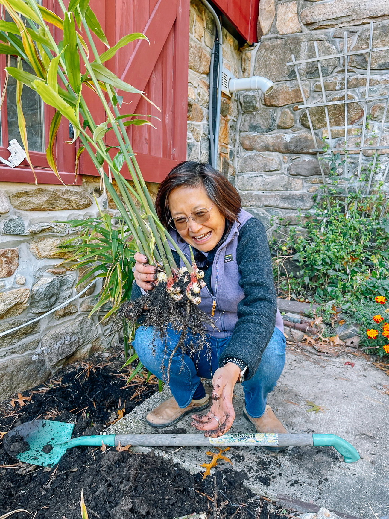 Judy with harvested young ginger
